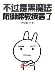 不过是黑魔法防御课教授罢了后序