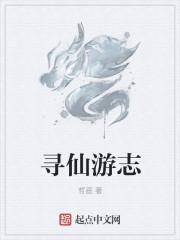 寻仙游天副本属性一览表