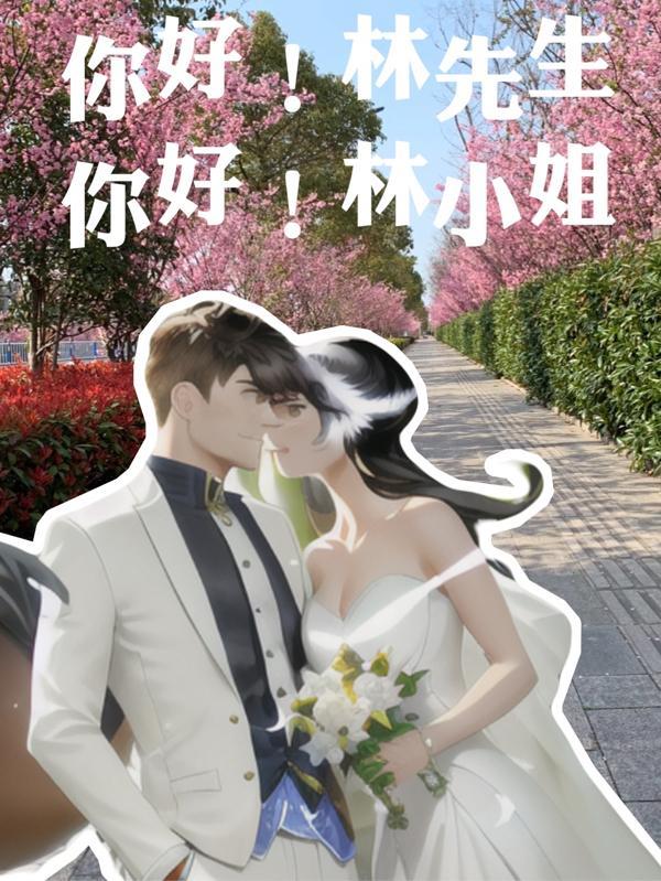 林先生是哪部电视剧