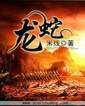 龙蛇相冲吗