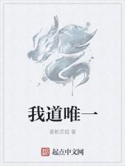 我道唯心