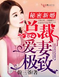 总裁的秘爱新妻
