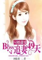 闪婚boss宠妻入骨