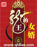 龙王的女婿简介