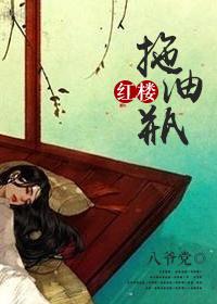 红楼之拖油瓶 八爷党