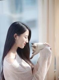 总裁卧底