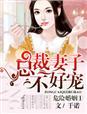 危情婚爱总裁宠妻如命免费全文