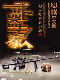 武器专家8长枪管配枪