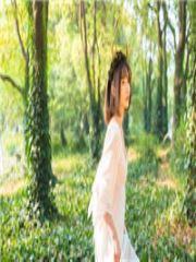 强势宠妻陆先生疼他入骨