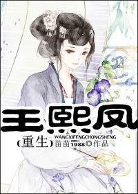 王熙凤穿越重生文