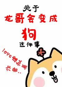作者龙哥的