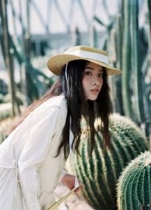 秦木棉秦木兮免费阅读