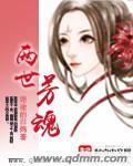 两世芳魂书评
