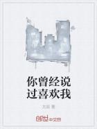 你说你曾经爱上过他的歌曲