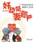 臣之妻私臣是什么意思