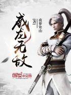 无敌威龙属于AT胎吗
