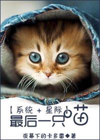 最后一只橘猫omega笔趣阁