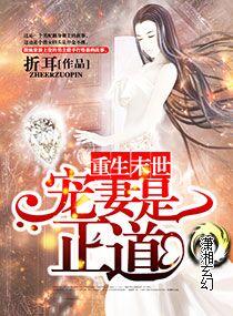 重生末世之爱妻是正道笔趣阁