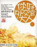 外交官叔叔免费