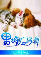 男神广场舞视频大全集