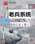 老兵记忆免费全文