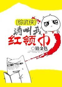 请叫我红领巾综武侠