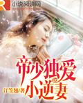 帝少独宠小辣妻免费
