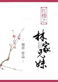 穿越红楼林家兄妹