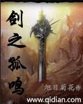 剑道孤鸣电视剧