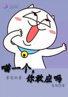 豪宠第一夫人全集免费