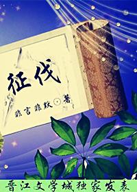 征伐者和宇森哪个好一点