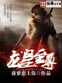龙皇至尊1-100集短剧