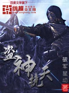 盗神盗圣