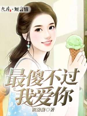 最爱我的傻瓜是什么歌