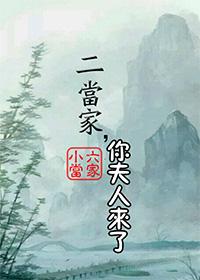 二当家mianfei