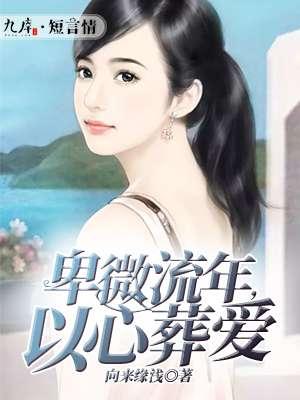 以心葬爱txt