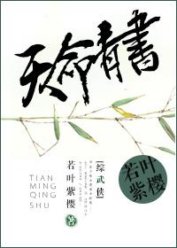 综武侠天命青书TXT