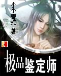极品鉴师