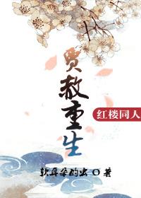 红楼之贾赦再世免费阅读