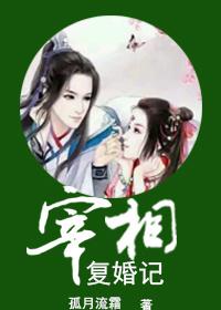 宰相追妻