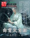 谁敢书阁下白首太玄经