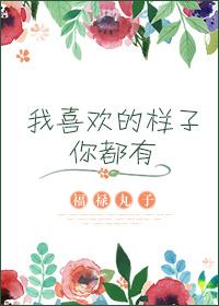 我喜欢的样子你都有的句子