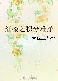 红楼之晋升之路笔趣阁