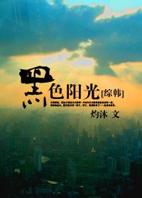 韩剧 黑色阳光