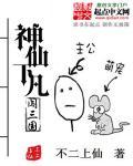 神仙下凡打一准确生肖