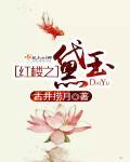 红楼之黛玉长嫂笔趣阁在线阅读