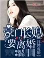 再嫁豪门总裁欺身成瘾