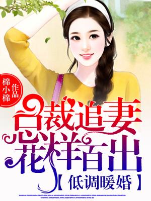 甜宠暖婚总裁宠妻请低调