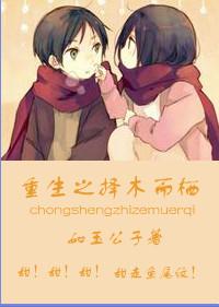 择木而栖2在线全文阅读免费