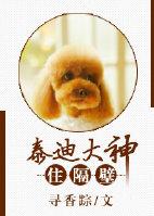 泰迪在房间里来回走动